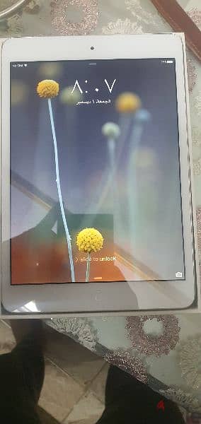 iPad mini 2013 17