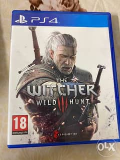 the Witcher 0