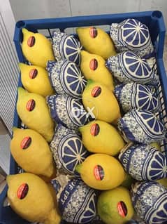 نشترى الليمون اليوريكا ١ والشعيرى بالطن لأعلى سعر 0