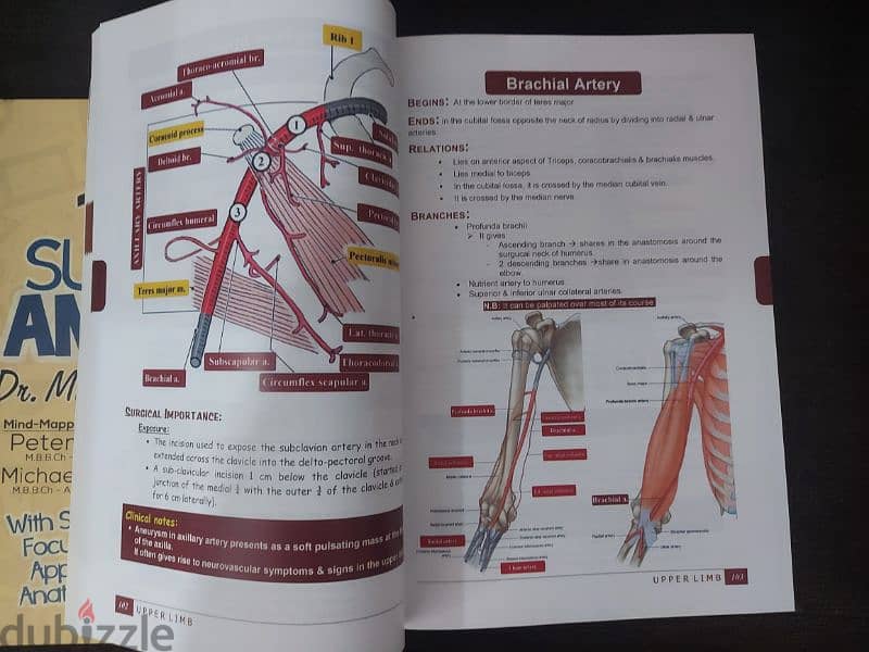 كتاب  Matary's Surgical Anatomy book and surgitoon للدكتور محمد المطري 1