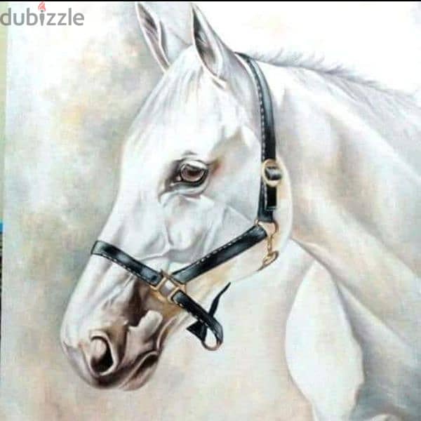 the white horse 0