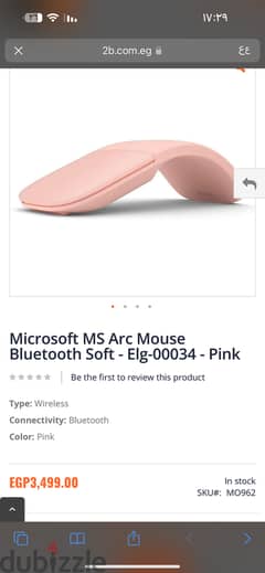 ARC Mouse