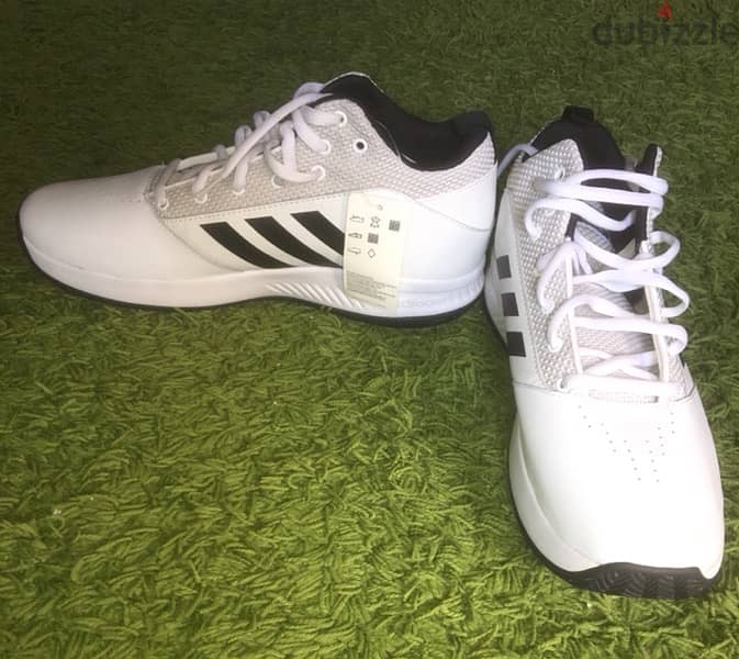 حذاء اديدس adidas وارد امريكا 3