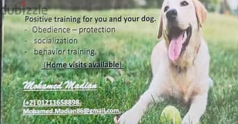 Maadi pet services المعادي لخدمات الحيوانات الاليفه