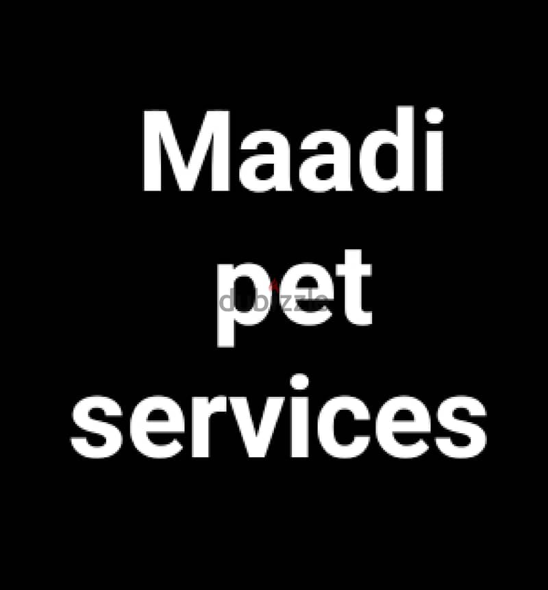 Maadi pet services المعادي لخدمات الحيوانات الاليفه 8