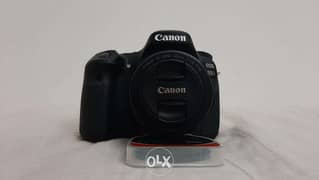 Canon 80d + kit lens + 50mm lens 0