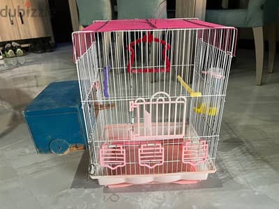 cage for a bird