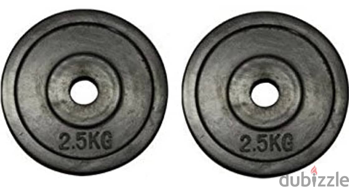 30 kg dumbbells 1