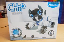 Chip the store lovable robot dog