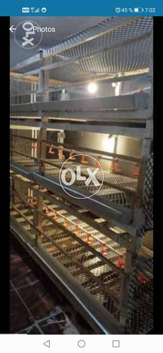 بطارية فراخ للبيع تسع ل ١٢٠ فرخ ٣ أدوار خشب