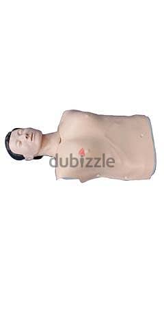 موديل للتدريب علي الانعاش القلب الرئوى XC404A Half Body CPR Training M 2