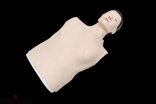 موديل للتدريب علي الانعاش القلب الرئوى XC404A Half Body CPR Training M 3