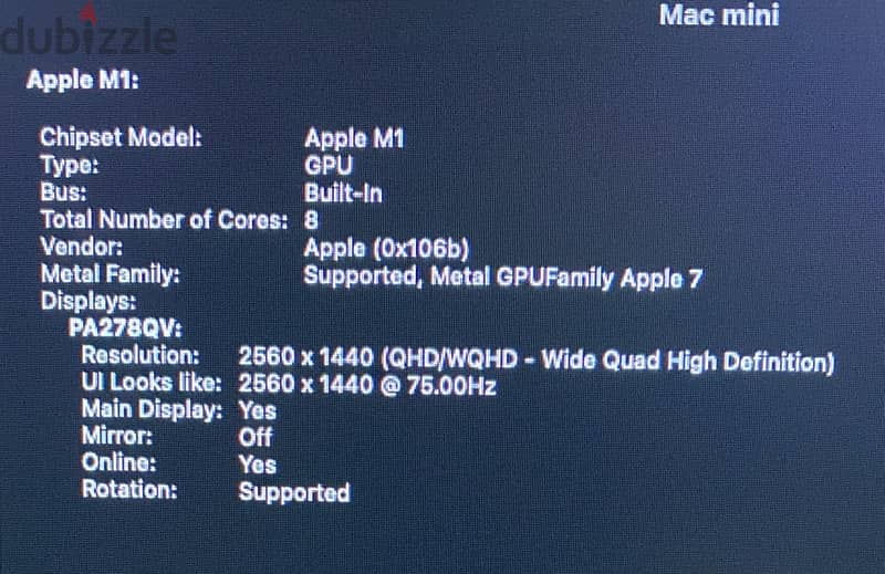 Mac Mini M1 256 GB 15