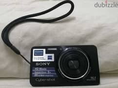 كاميرا سوني Sony DSC-W580 0
