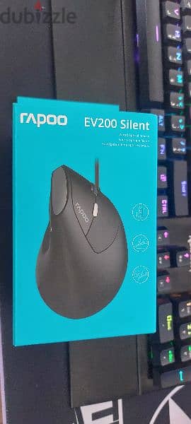 vertical mouse rapoo