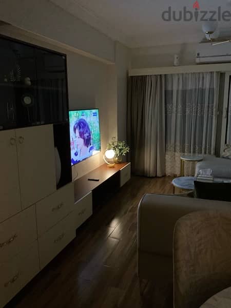 fully furnished apartment for rent 17