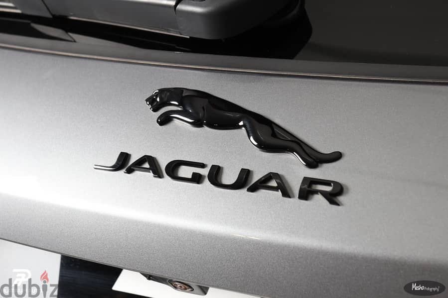 Jaguar F Pace 2024 17