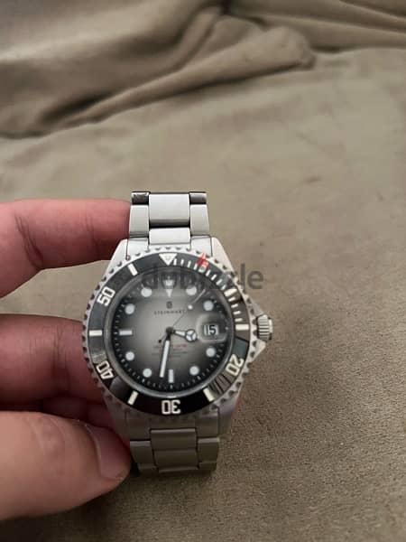 Steinhart olx 2024