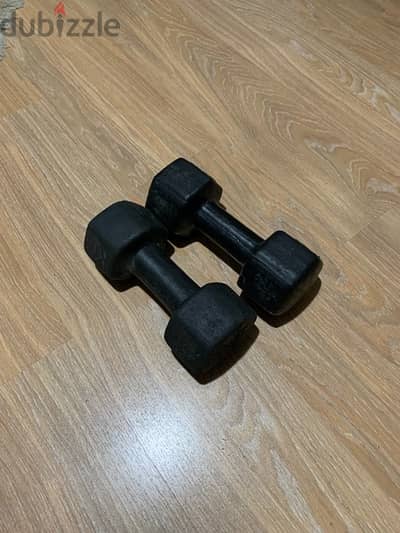 2 dumbbells 5 kg