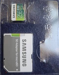 Samsung Evo plus micro sd  256 GB xc13