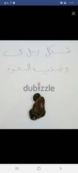 حجر نادر عثر عليه في صحراء حلوان 2