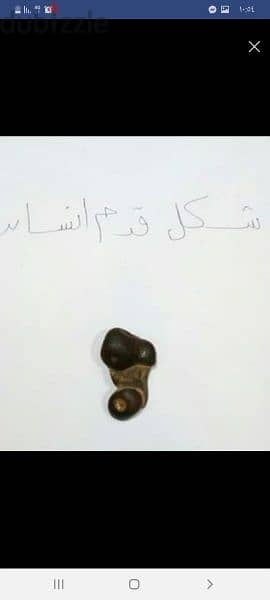 حجر نادر عثر عليه في صحراء حلوان 3