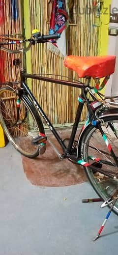 Bicycle Used Bicycles for sale in Egypt dubizzle Egypt OLX