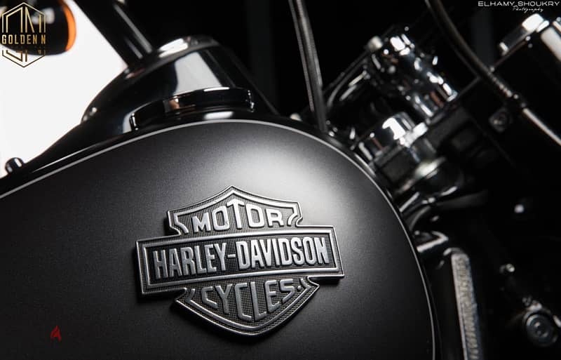 •Harley Davidson Softail Slim 2017 two tone color charcoal/black denim 3