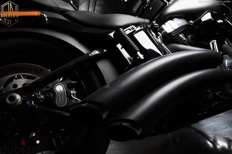 •Harley Davidson Softail Slim 2017 two tone color charcoal/black denim 6