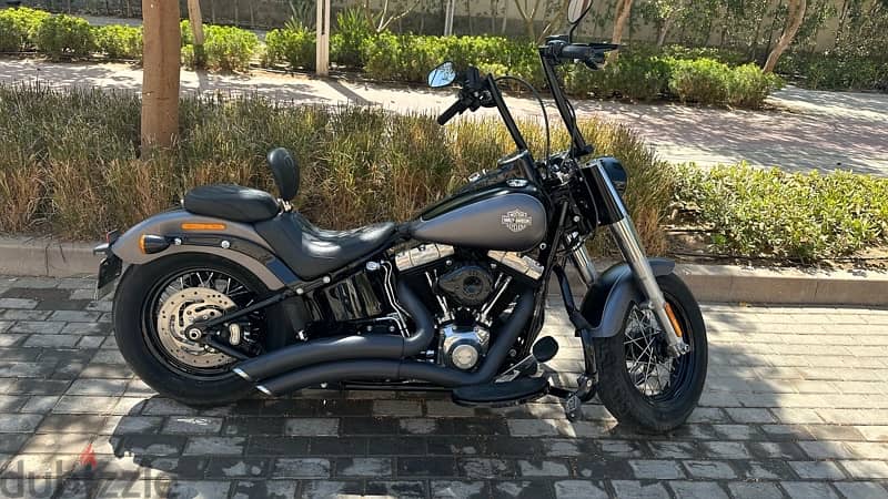 •Harley Davidson Softail Slim 2017 two tone color charcoal/black denim 8