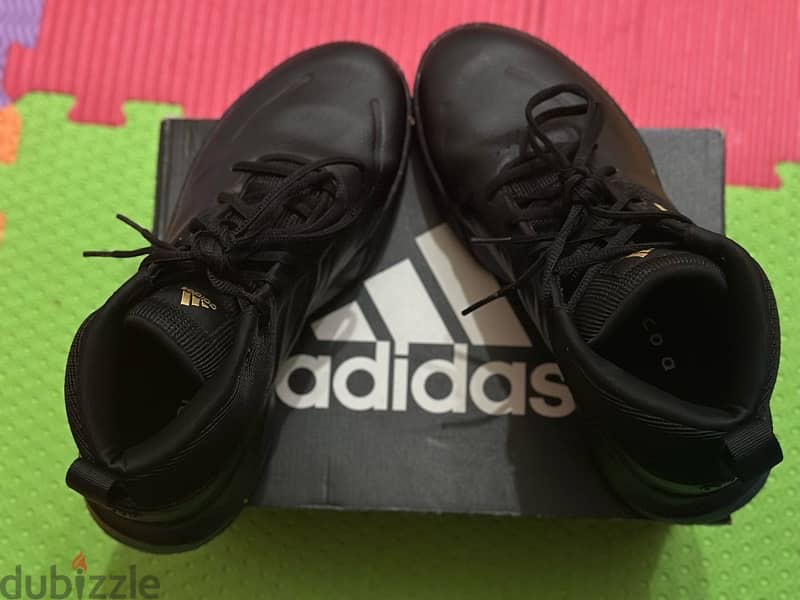 Adidas shoe  Basketball shoe 1