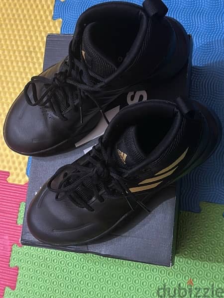 Adidas shoe  Basketball shoe 2