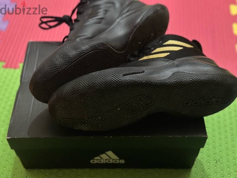 Adidas shoe  Basketball shoe 3