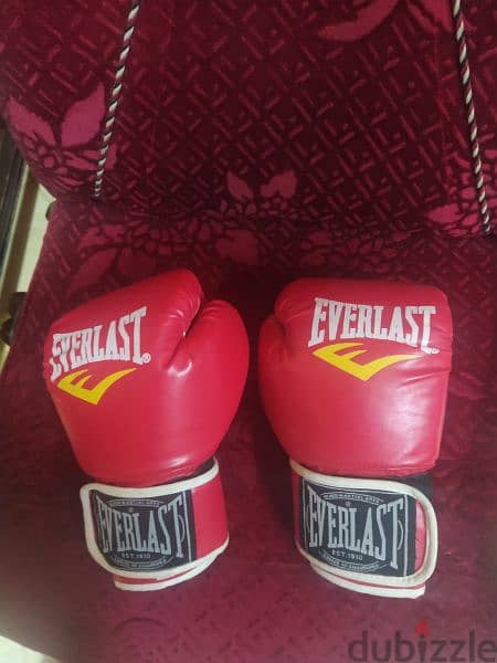large venum stand boxing bag + everlast boxing gloves 1