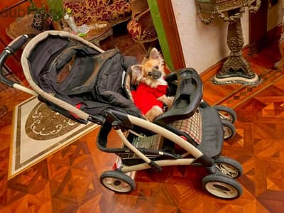 Graco quattro outlet pushchair