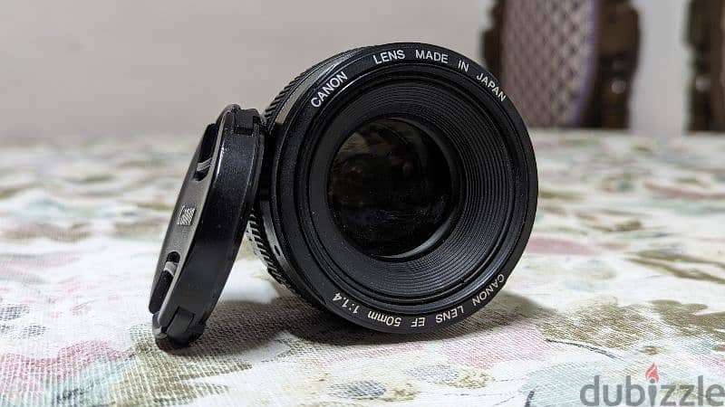 Canon 50mm | 1.4 Lens 1
