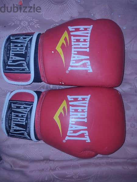 جلافز Everlast اصلي للبيع 0