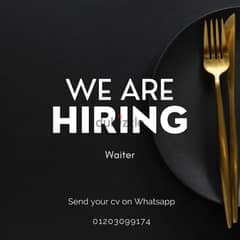 Waiter - وايتر 0