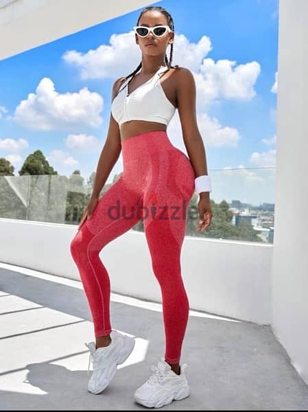 Yoga Basic Solid Wideband Waist Sports Leggings - Women's Clothing -  200155035
