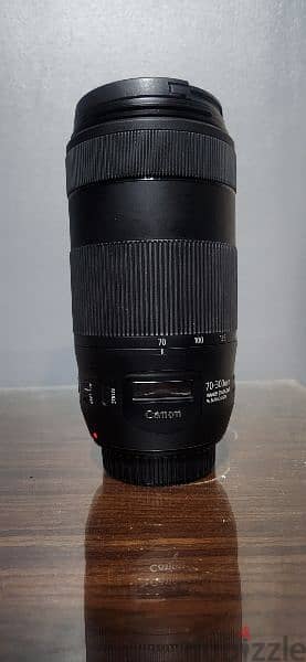 Canon EF 70-300mm f/4-5.6 IS II USM 7