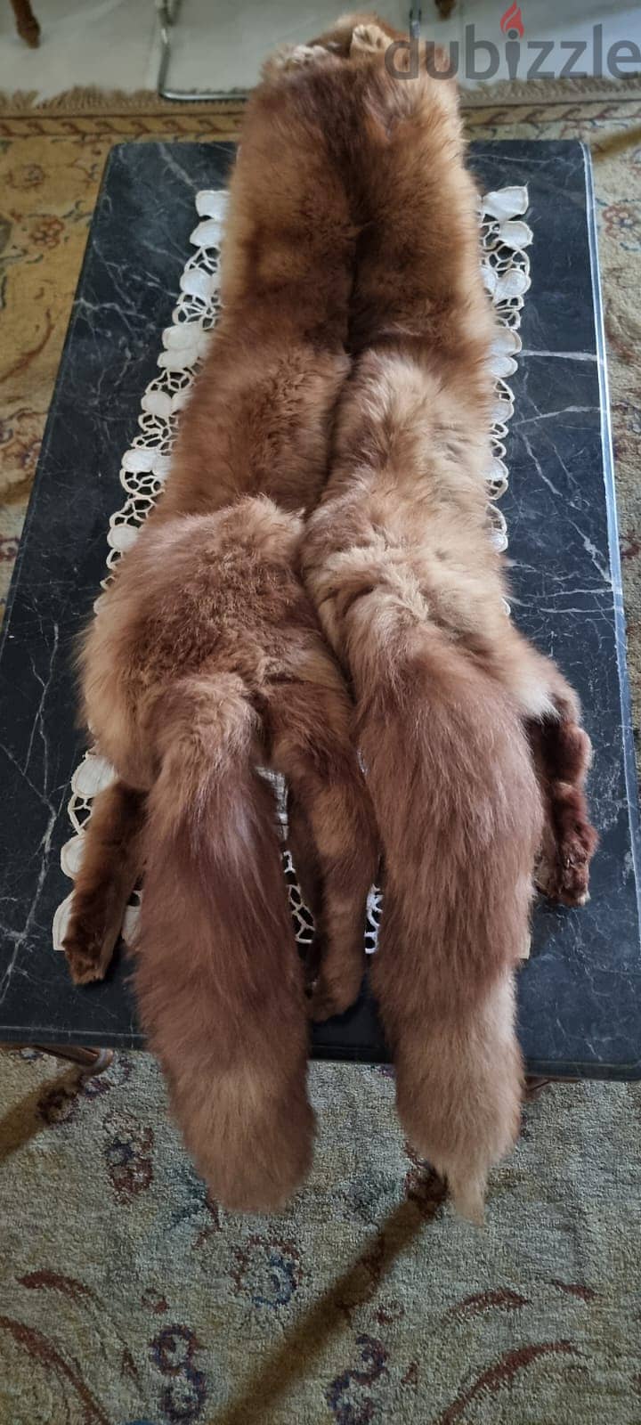 ثعلب فرو طبيعي / Natural fur fox 1