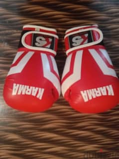 gloves kick boxing