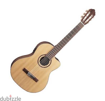 Acoustic Guitar Cort