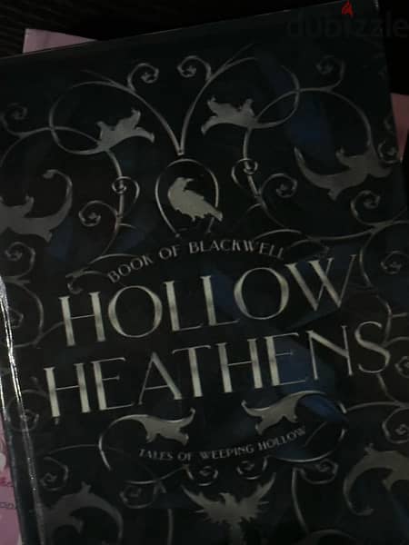 Book : hollow heathens 0
