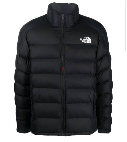 North Face Jacket (Brand New) 3