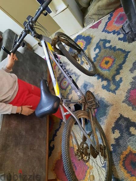 trinx bicycle for sale 4