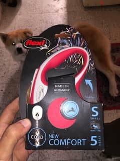 Flexi Leash for Puppies and Dogs 0