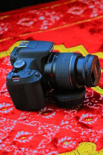 Canon EOS 2000D Shutter 700 جديدة 10