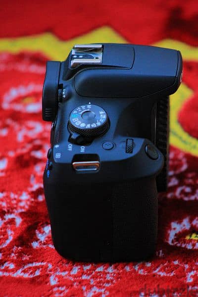 Canon EOS 2000D Shutter 700 جديدة 19