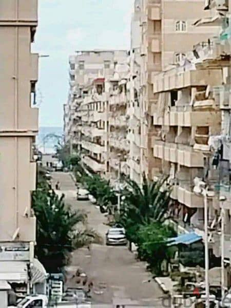 امتلك شقه في الإسكندرية شاطئ النخيل موقع ممتاز جدا يصلح للسكن والاستثم 9